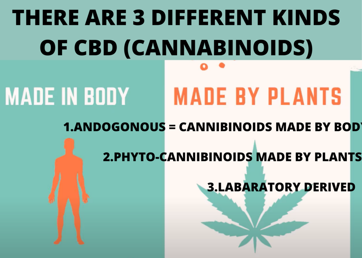 Kinds Of CBD